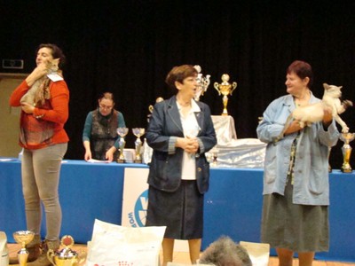 20121021_302 (Expo)